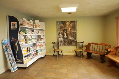 patientinfo-photo