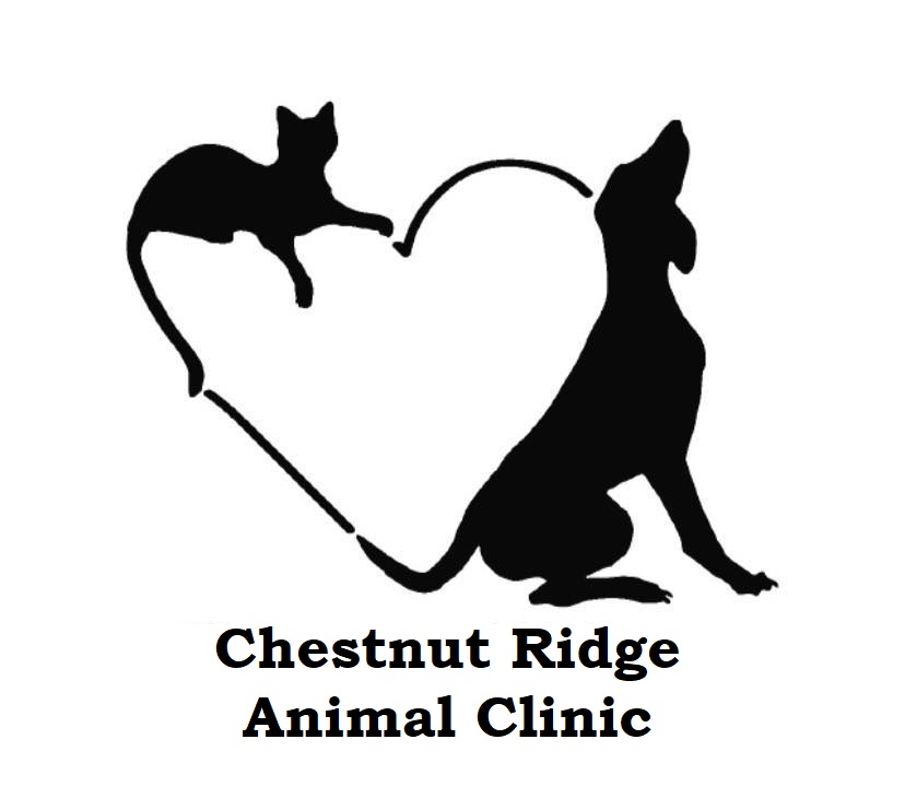 Chestnut Ridge Animal Clinic
